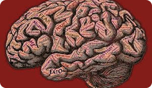 Neuroscientific Perspective